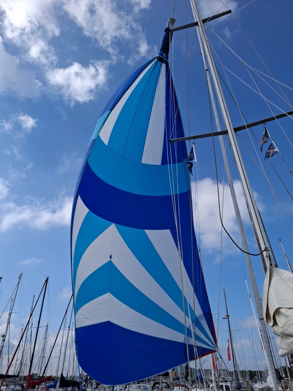 Prachtige zgan Spinnaker met slurf en zeilzak, 30 tot 60 m², 6 meter of meer, Spinnaker, Ophalen of Verzenden