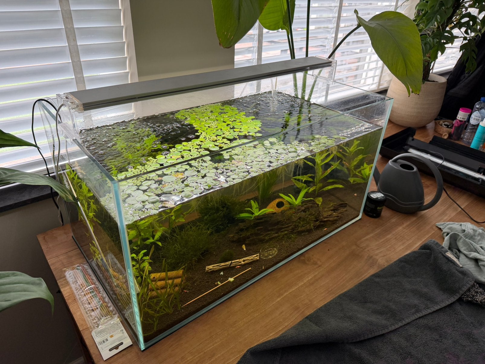 Open aquarium, Ophalen, Zo goed als nieuw