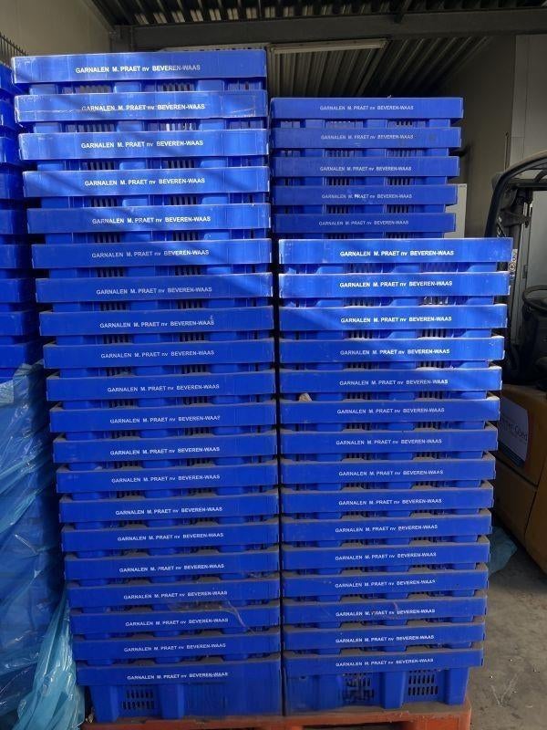 154 pvc stapelbakken 60x40x20, Doe-het-zelf en Verbouw, Ophalen, 40 tot 60 cm, 50 tot 75 cm, Minder dan 35 cm