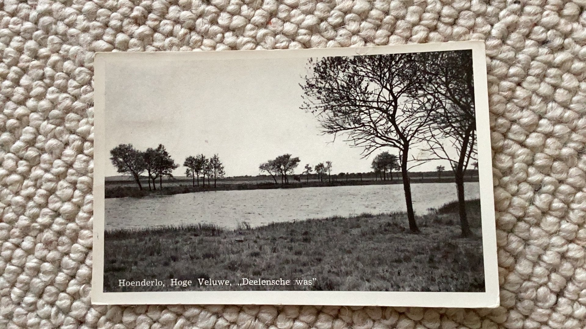 Ansichtkaart Hoenderloo Hoge Veluwe “Deelensche was”. 940, Verzamelen, Ophalen of Verzenden, 1940 tot 1960, Gelopen, Gelderland
