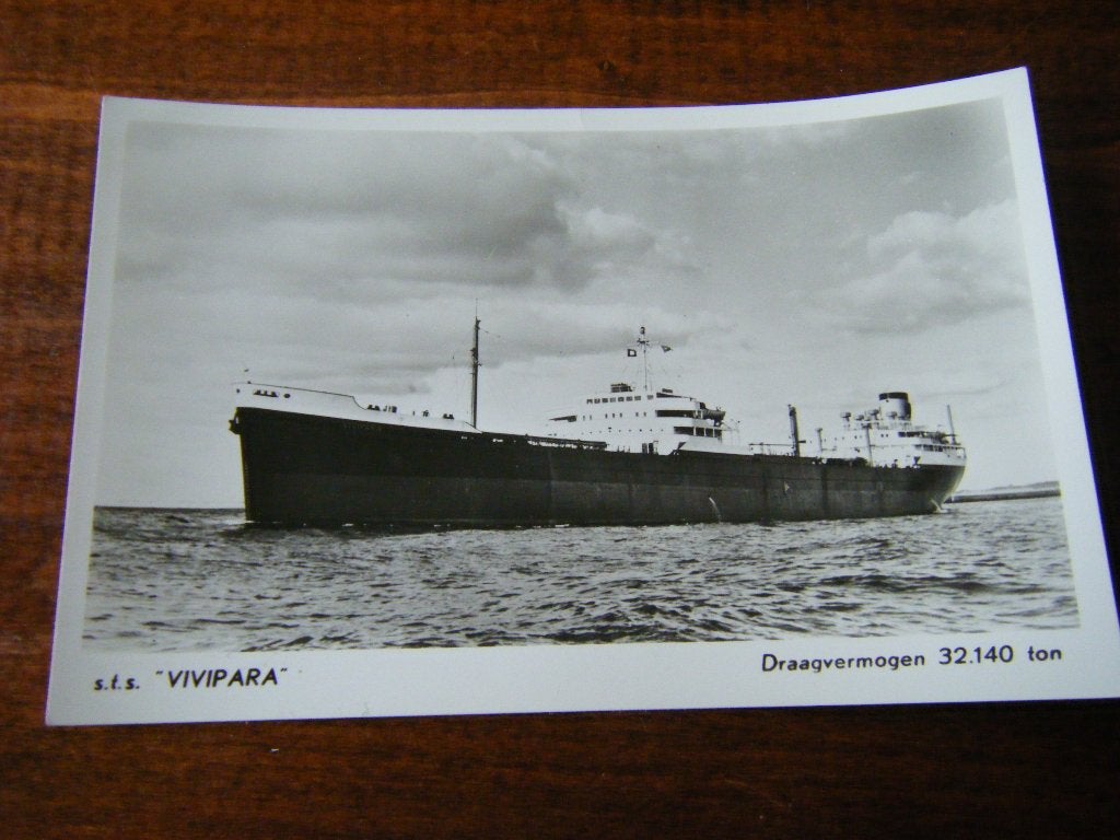 T42 - Schip Shell - s.t.s. Vivipara - Mooi/Oud, Verzamelen, Ophalen of Verzenden, Gebruikt, Kaart, Foto of Prent