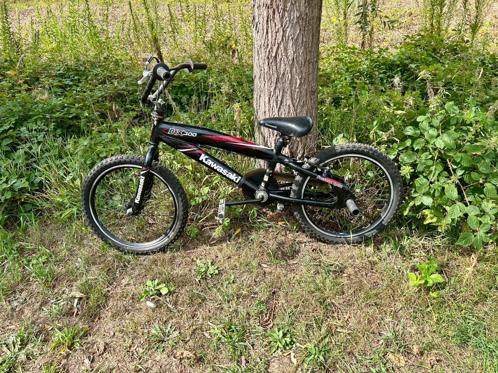 Kawasaki BMX Stuntfiets 20 inch nieuwe banden, Ophalen, Gebruikt, Staal