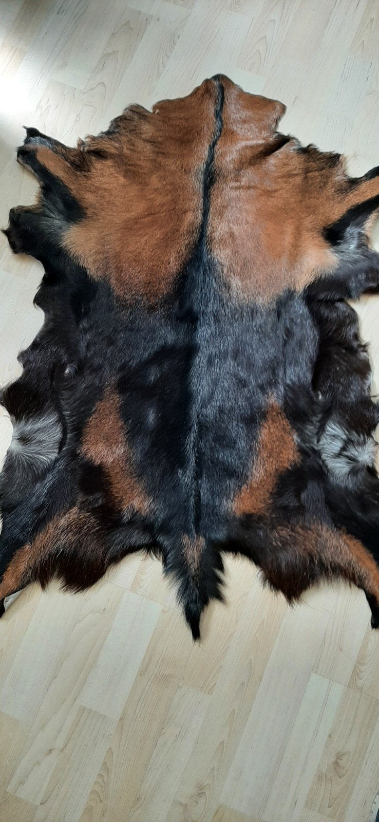 Geitenvel zwart met bruin., Ophalen, Bruin, 50 tot 100 cm, Zo goed als nieuw