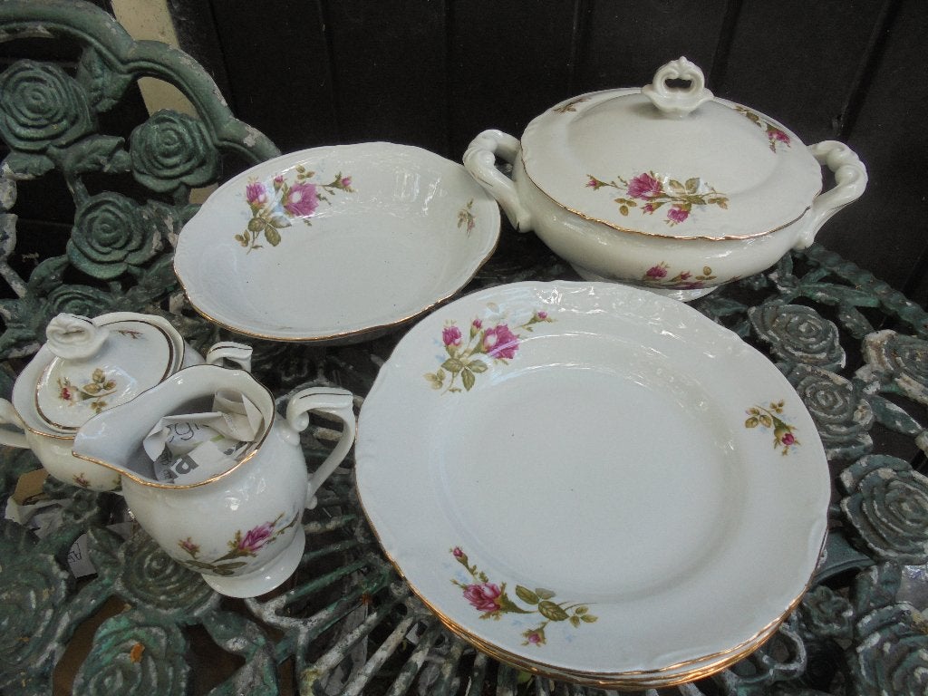 Servies delen Chodziez met wilde roze struik roos, Ophalen of Verzenden