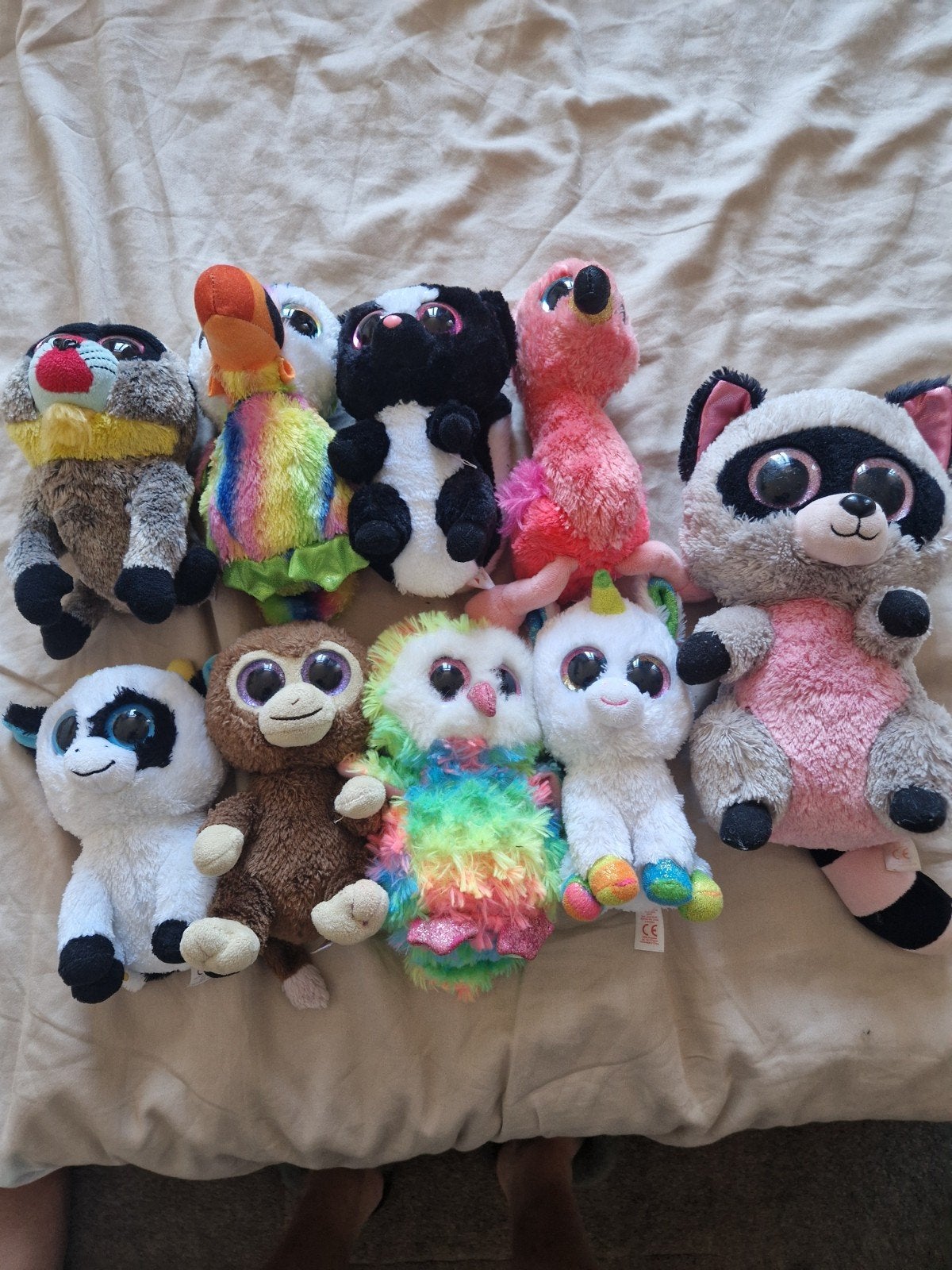 Ty Knuffel Familie - Diverse Beanie Boos, Overige typen, Ophalen of Verzenden, Middelgroot (20 tot 80 cm), Meerkleurig