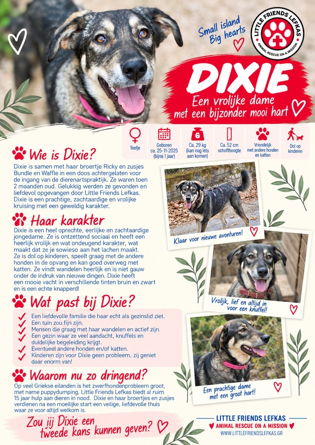FOSTERGEZIN GEZOCHT VOOR DIXIE, Starter, Overige vormen, Overige uren, LBO / VMBO