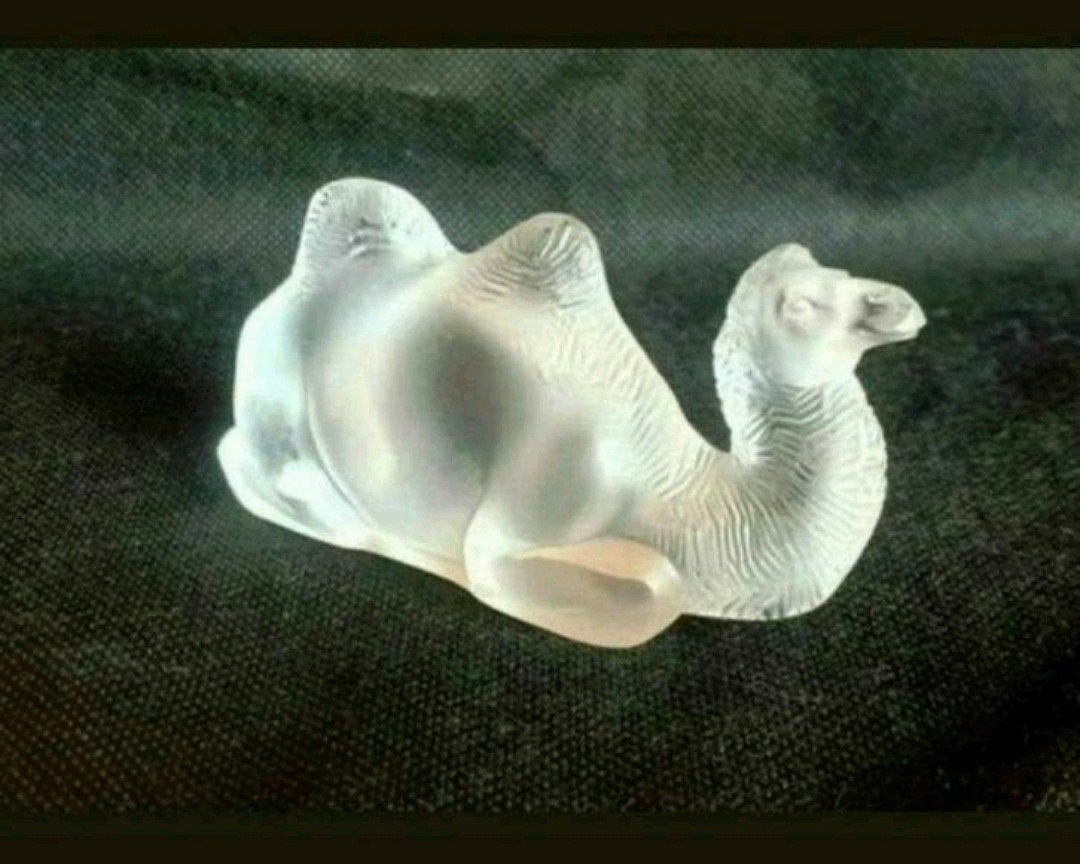Lalique kameel liggend, Ophalen of Verzenden