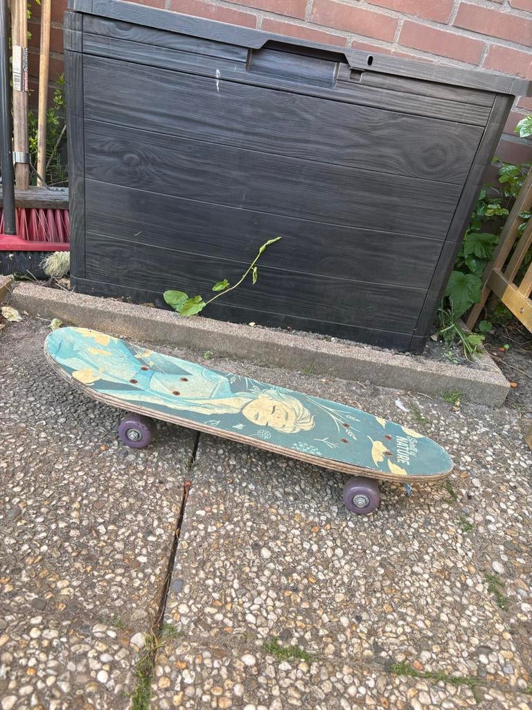Skateboard met uniek design, Ophalen, Gebruikt, Skateboard