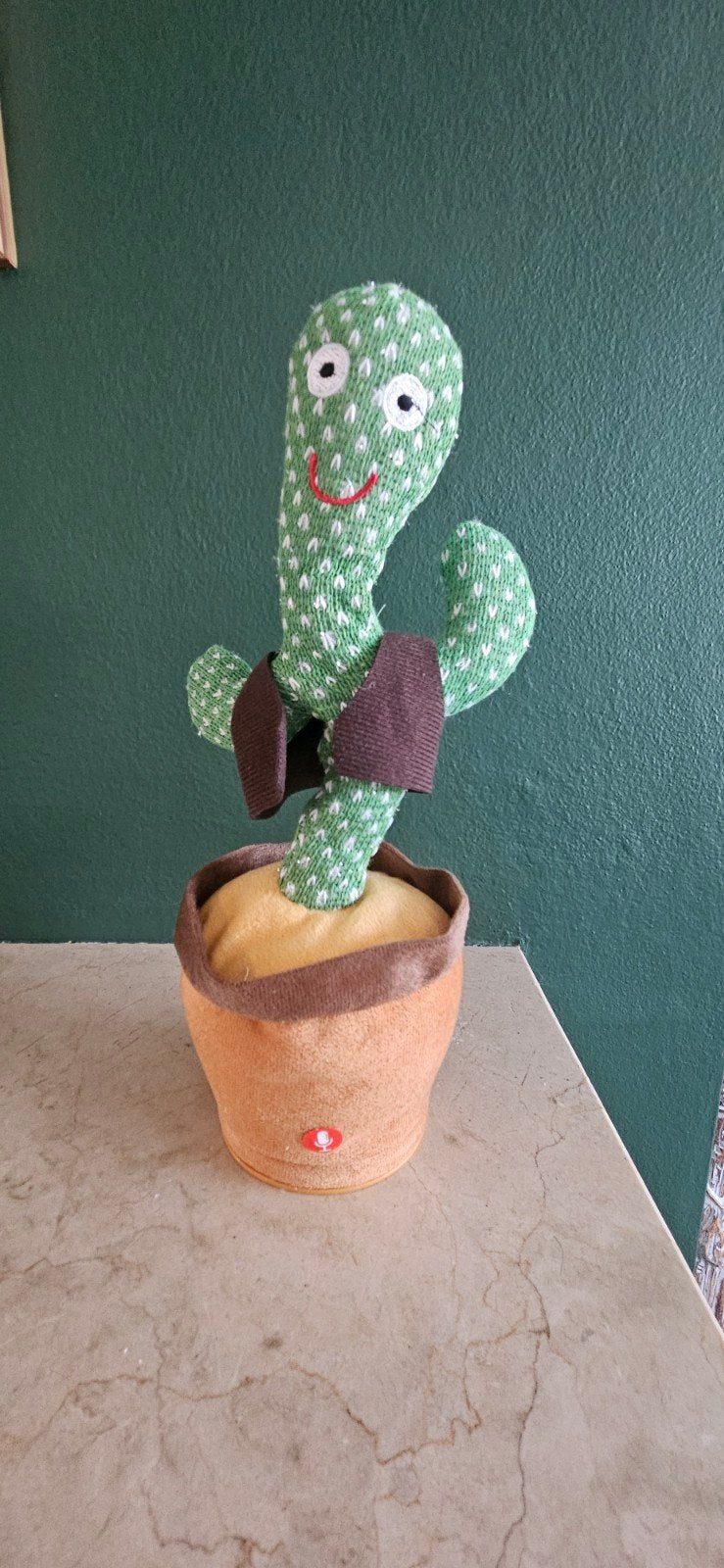 pratende cactus, Ophalen of Verzenden, Overige typen