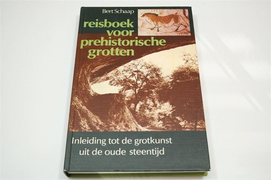 Reisboek Prehistorische Grotten — Grotkunst Steentijd, Boeken, Ophalen of Verzenden, Gelezen, Europa