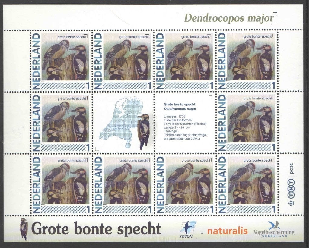 Postzegels Vogels in Nederland: Grote bonte specht, Ophalen of Verzenden, Na 1940, Postfris
