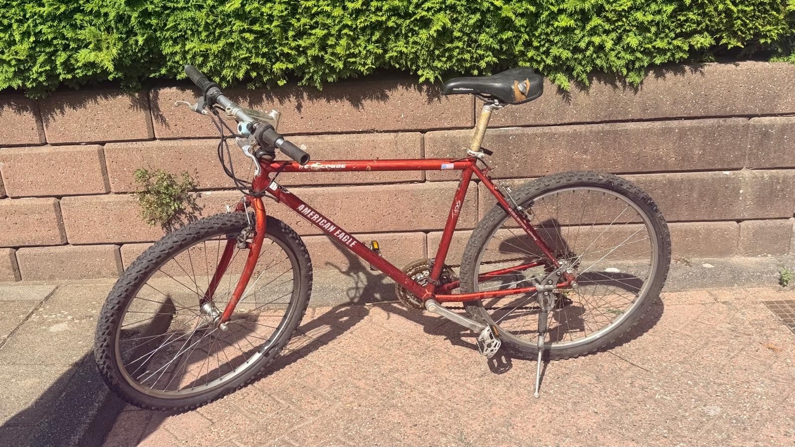 TE KOOP MOUNTAINBIKE, Ophalen, Gebruikt