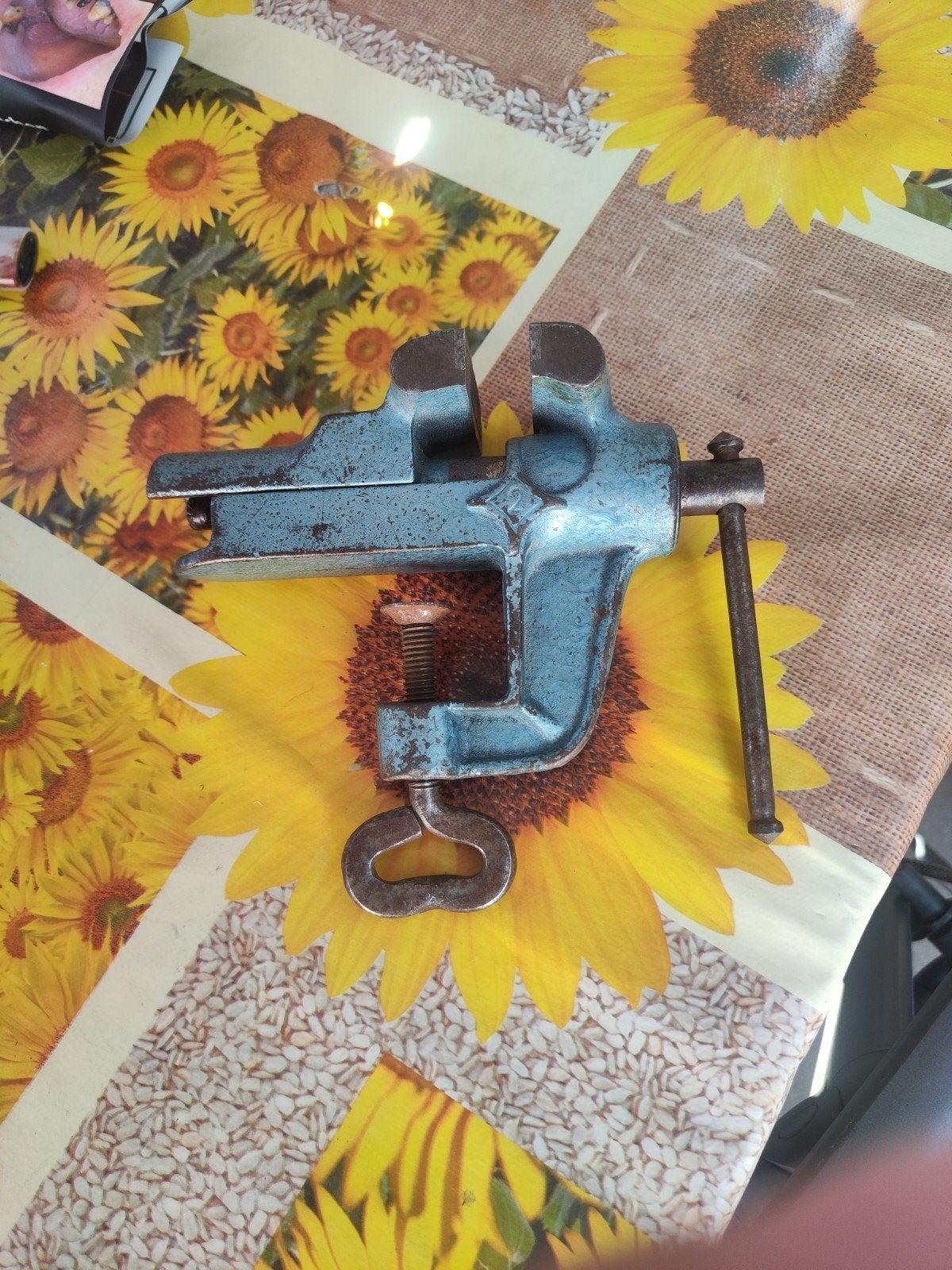Vintage bankschroef - Blauw, gebruikt, Doe-het-zelf en Verbouw, Ophalen, Gebruikt, Bankschroef, Overige merken