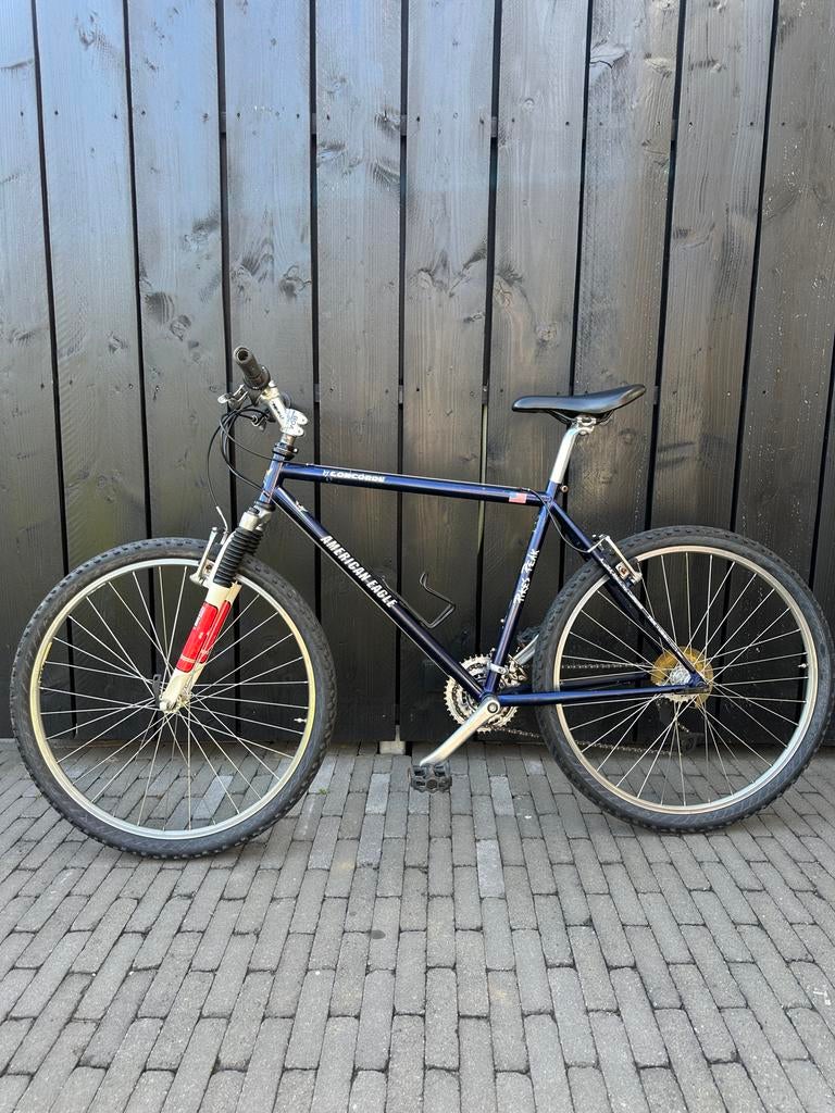 American Eagle Mountainbike, Fietsen en Brommers, Gebruikt, Hardtail, 45 tot 49 cm, Ophalen