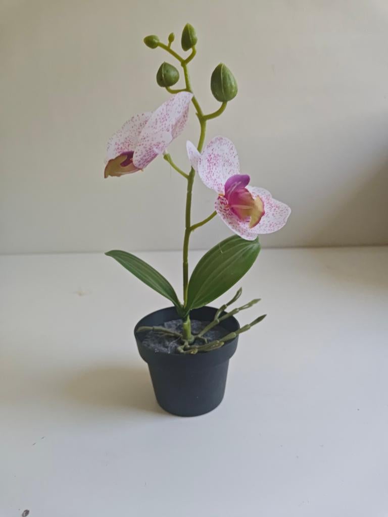 Kleine kunst orchidee in pot - roze/wit, Binnen, Roze, Onderhoudsvrij, Kunstplant