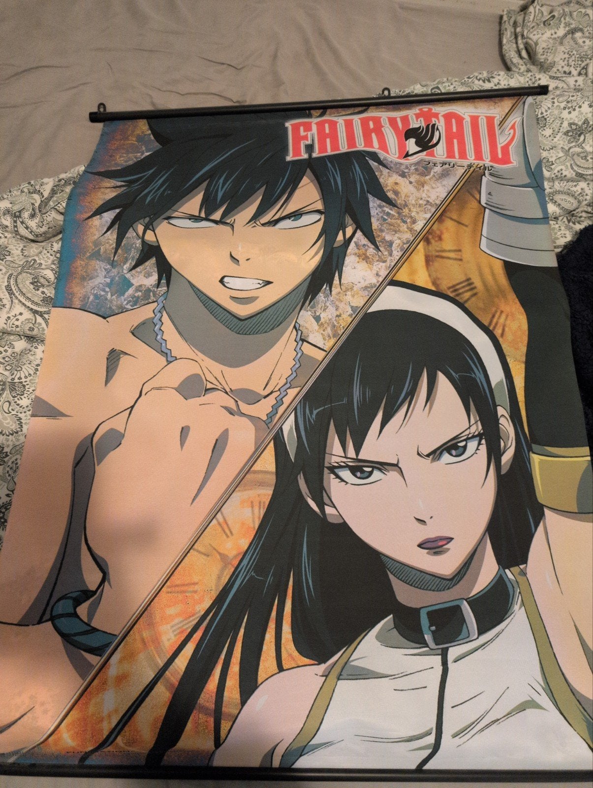 Fairy Tail Anime Poster - Gray Fullbuster & Ultear Milkovich, Ophalen, Zo goed als nieuw, Tv, Poster