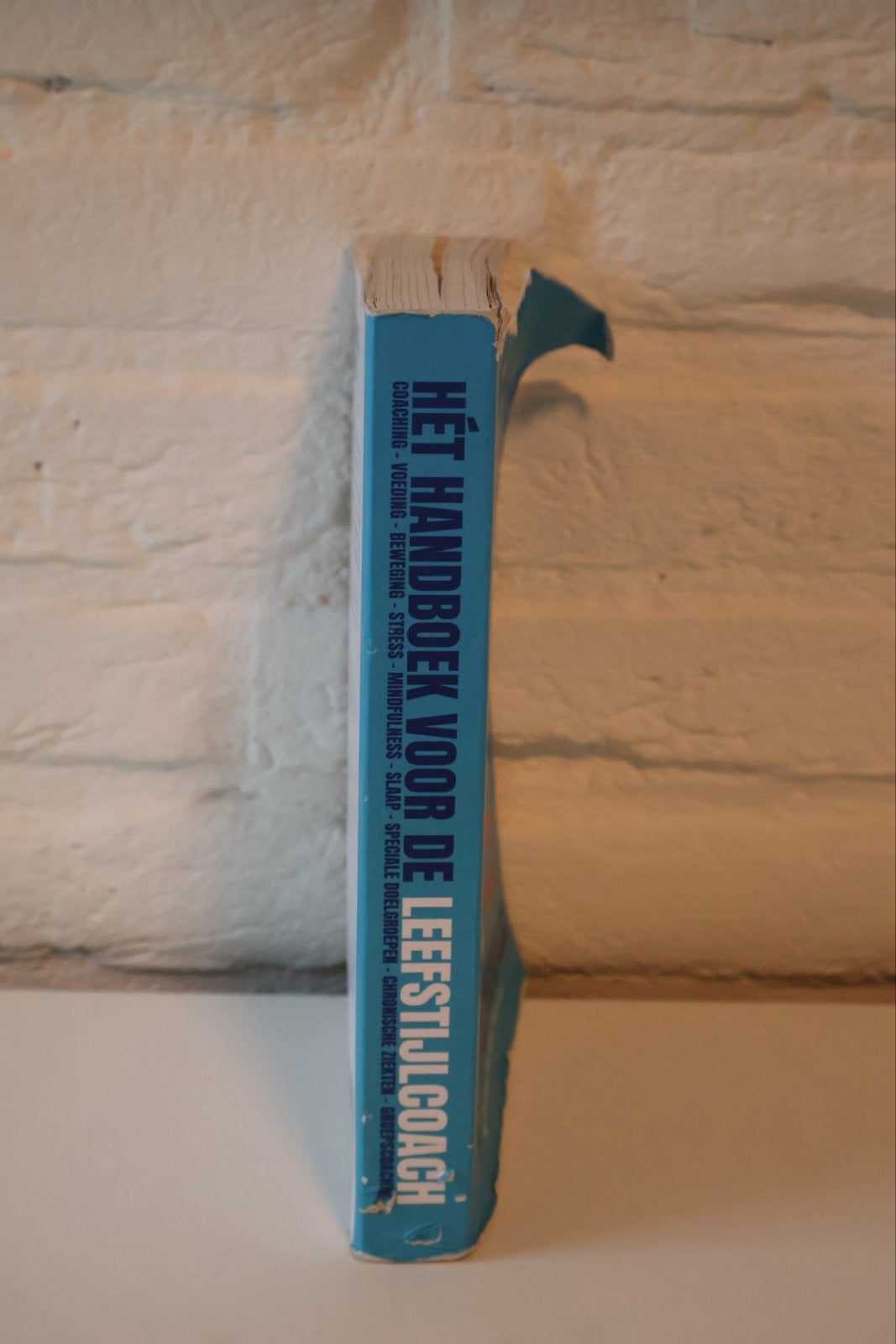 Hét Handboek voor de Leefstijlcoach - Praktisch & Compleet, Ophalen, Gelezen