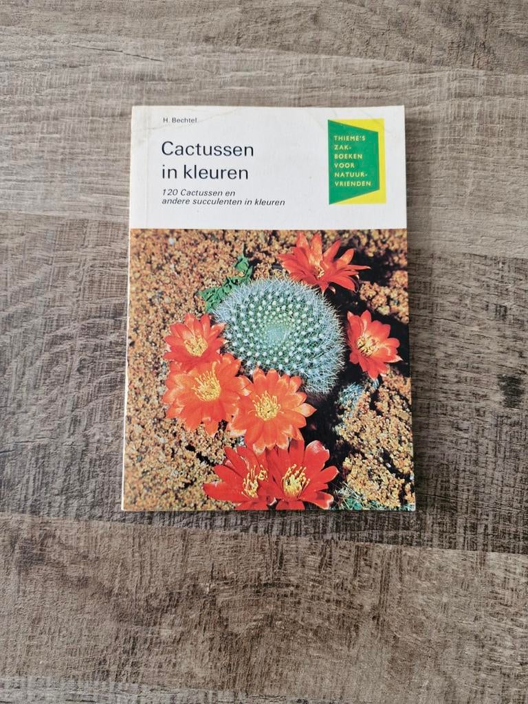 Cactussen in kleuren - H. Bechtel, Ophalen of Verzenden, Zo goed als nieuw, Bloemen, Planten en Bomen, H BECHTEL