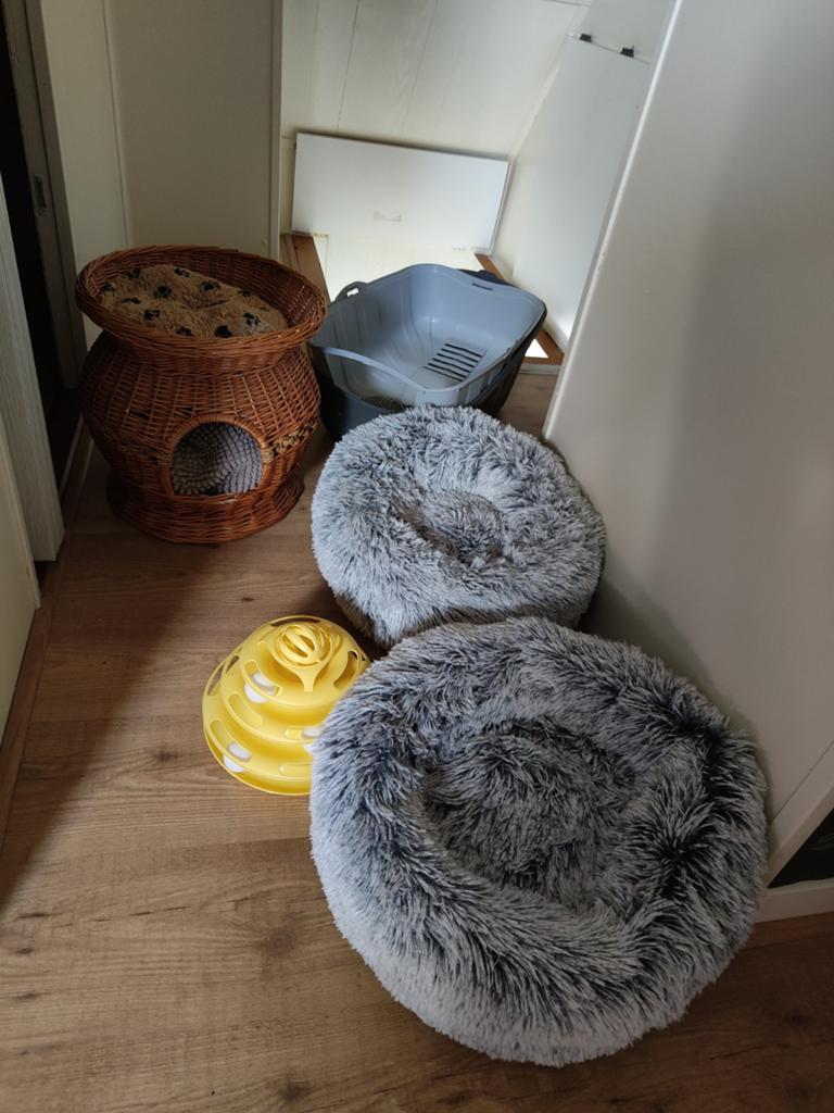 Katten spullen en toebehoren, Dieren en Toebehoren, Katten-accessoires, Ophalen