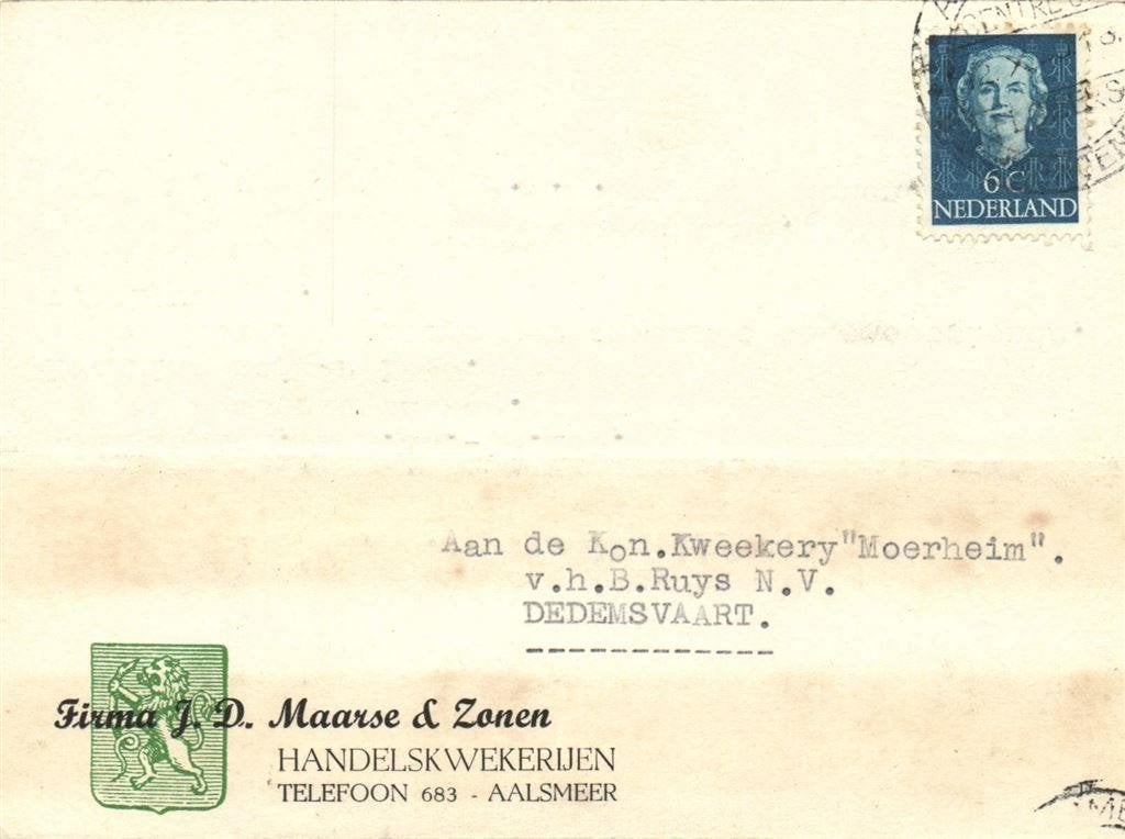 Firma J.D. Maarse + Zonen, Aalsmeer - 10.1950 - briefkaart, Postzegels en Munten, Ophalen of Verzenden, Briefkaart