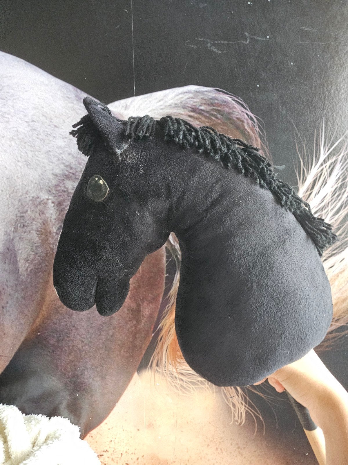 zwart hobbyhorse, Dieren en Toebehoren, Vrouwelijk