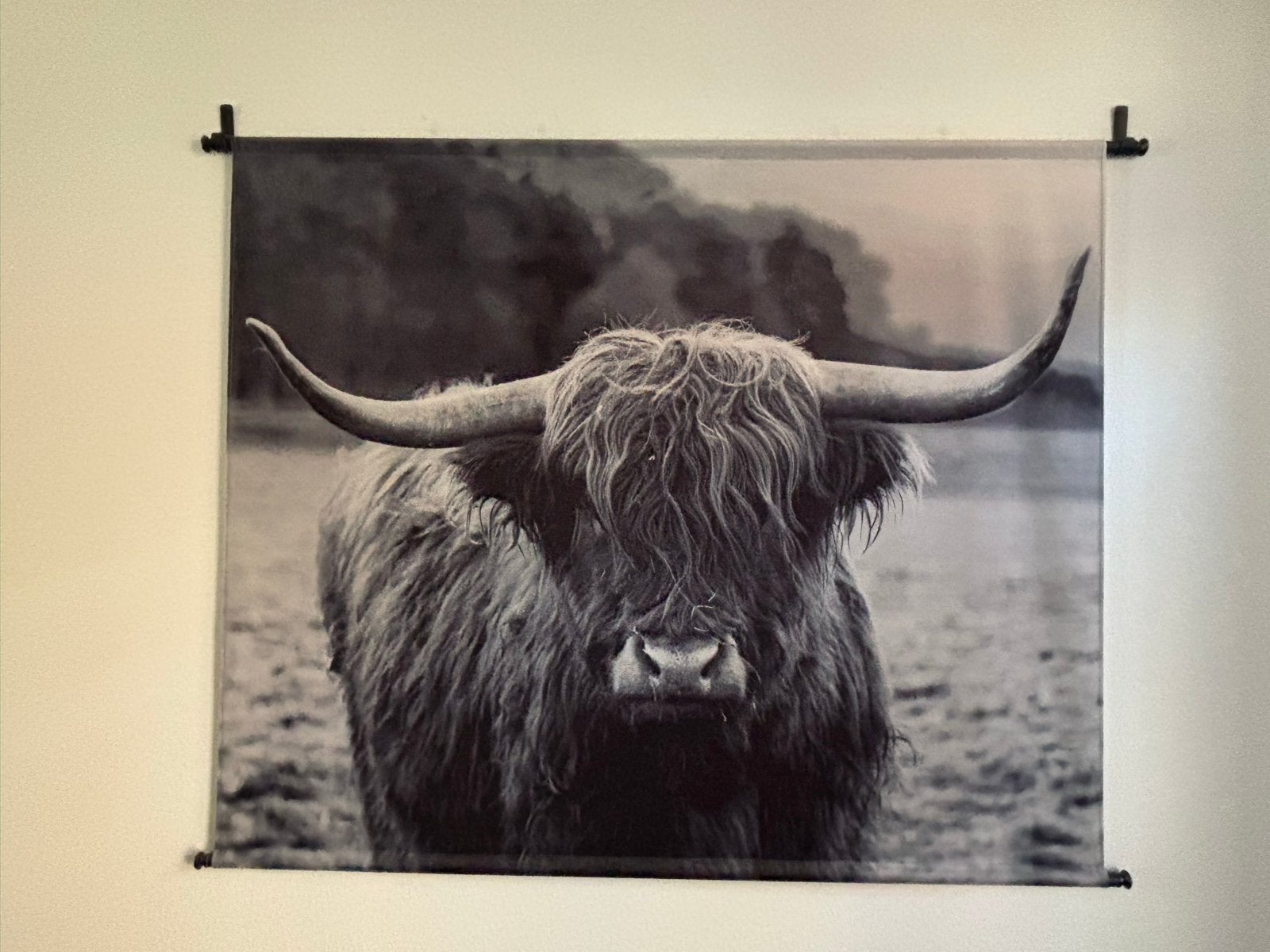 Wandkleed Schotse Hooglander Zwart-Wit - Stoer & Landelijk, Huis en Inrichting, Woonaccessoires | Wanddecoraties, Ophalen, Zwart