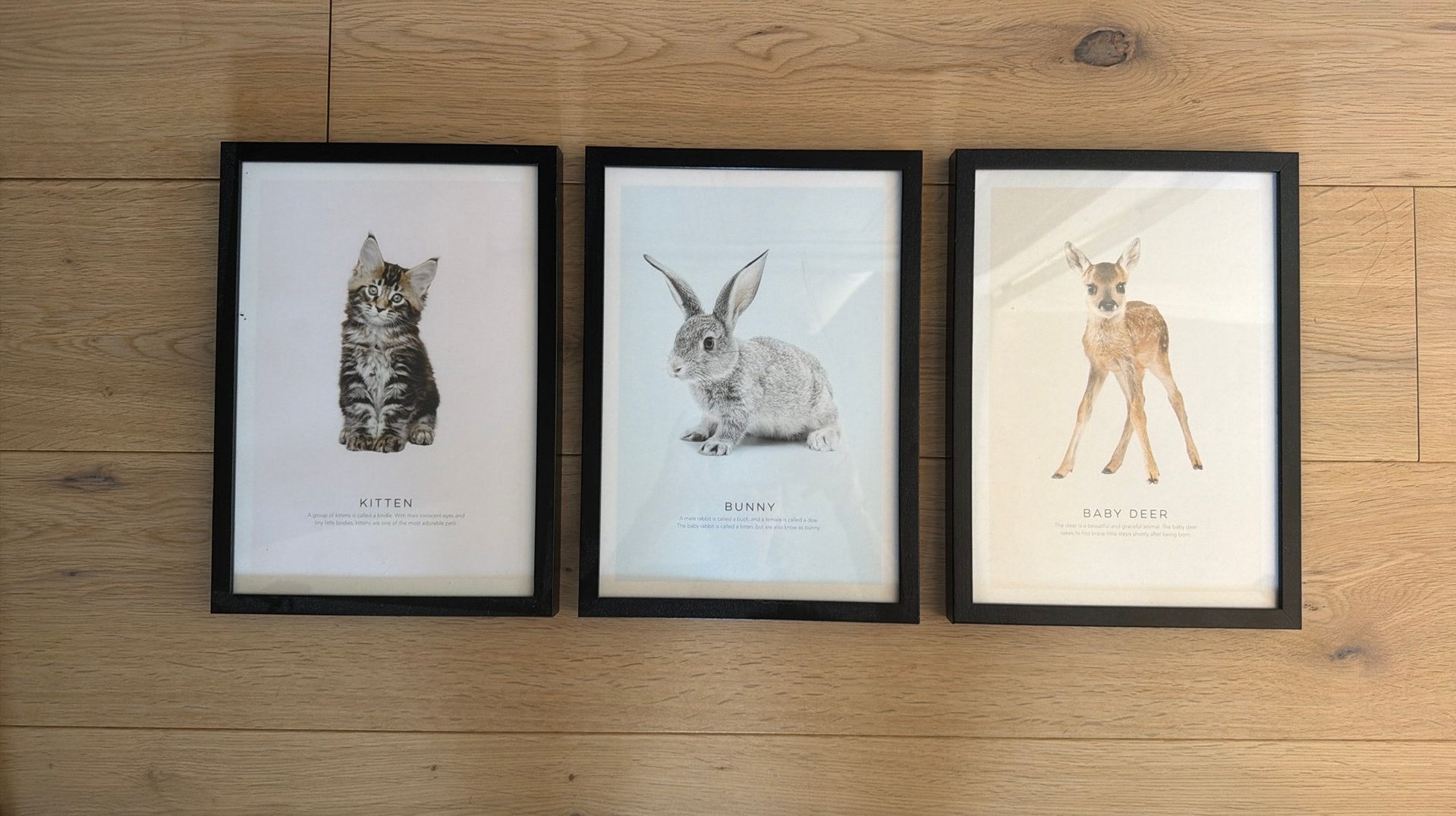 3 lieve posters voor kinderkamer (20 x 30 cm), Ophalen of Verzenden, Gebruikt, Glas