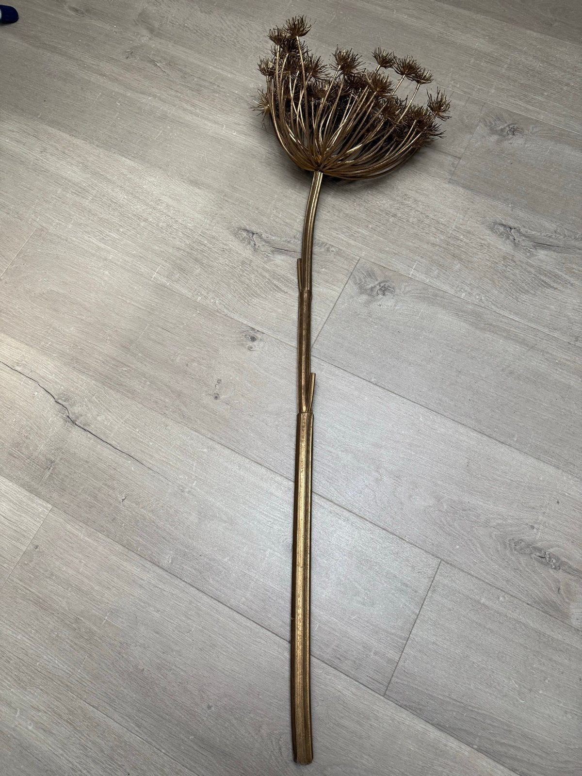 Grote gouden kunst berenklauw tak - decoratief, Ophalen, Zo goed als nieuw, Goud, Metaal