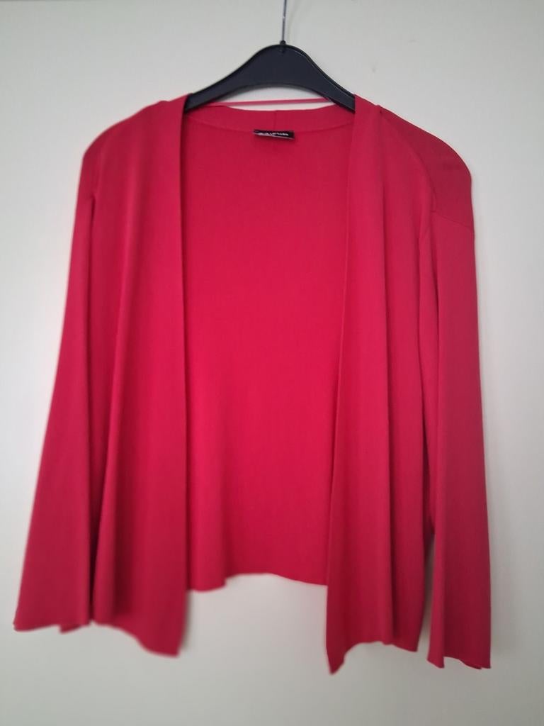Roze (rood) vestje, bolero van Taifun maat XXL, Ophalen of Verzenden, Zo goed als nieuw, Maat 46/48 (XL) of groter, Roze