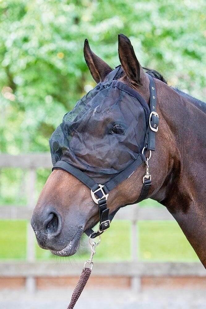 Harry's Horse Vliegenmasker Halster Pony, Ophalen of Verzenden, Nieuw, Recreatie