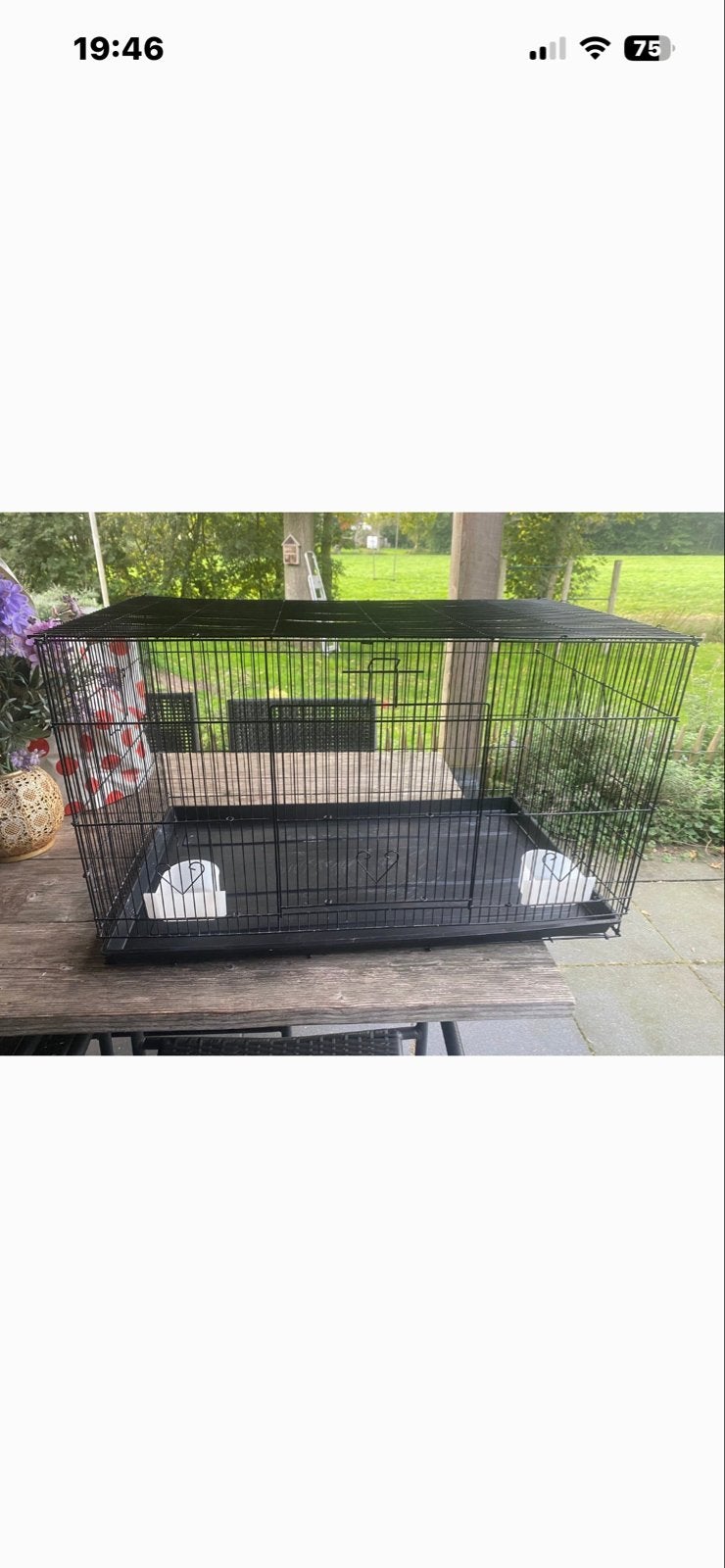 Mooie vogel kooi, Ophalen, Zo goed als nieuw, Vogelkooi