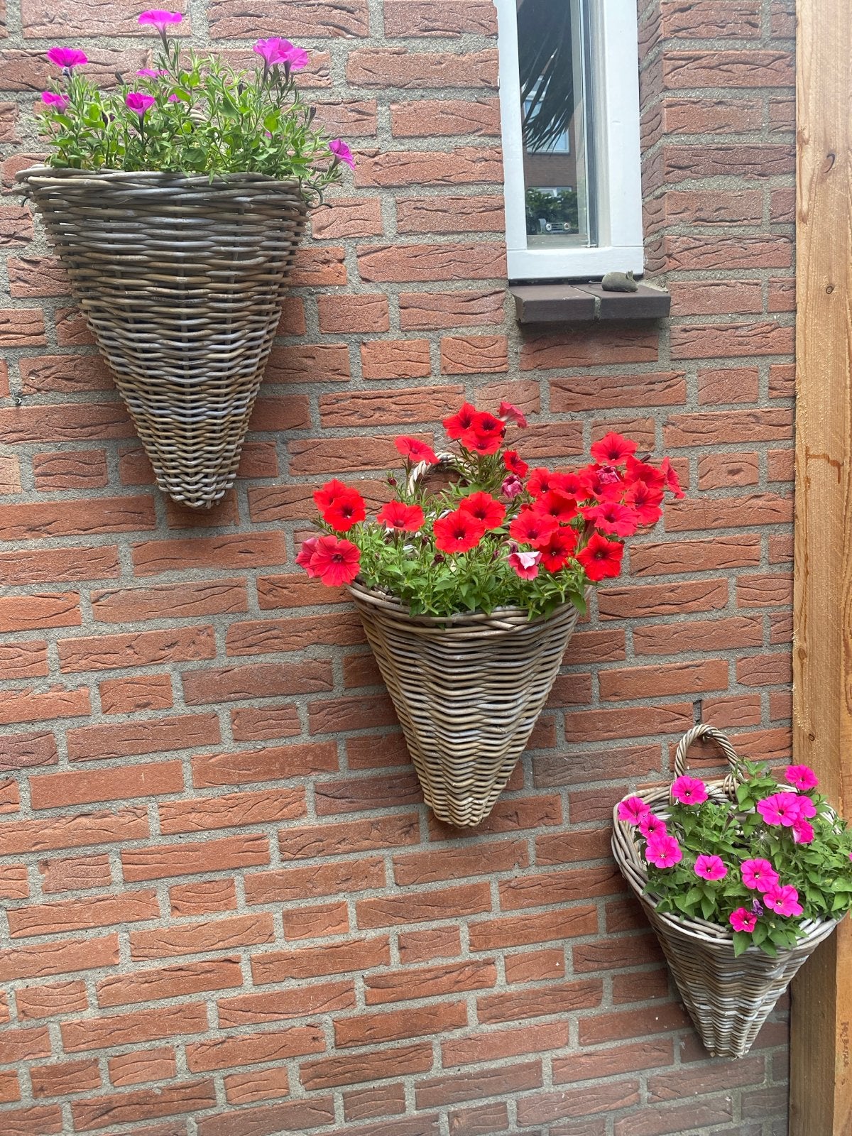 Wandbloempotten van riet - set van 3 €25, Tuin en Terras, Overige materialen, Gebruikt, Minder dan 60 cm, Ophalen of Verzenden