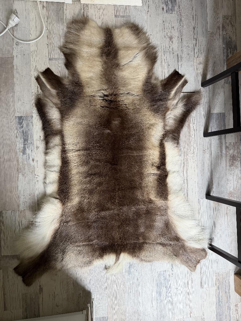 Noorse rendierhuid - Granberg Garveri Norway, 100 tot 150 cm, Nieuw, Bruin, Rechthoekig