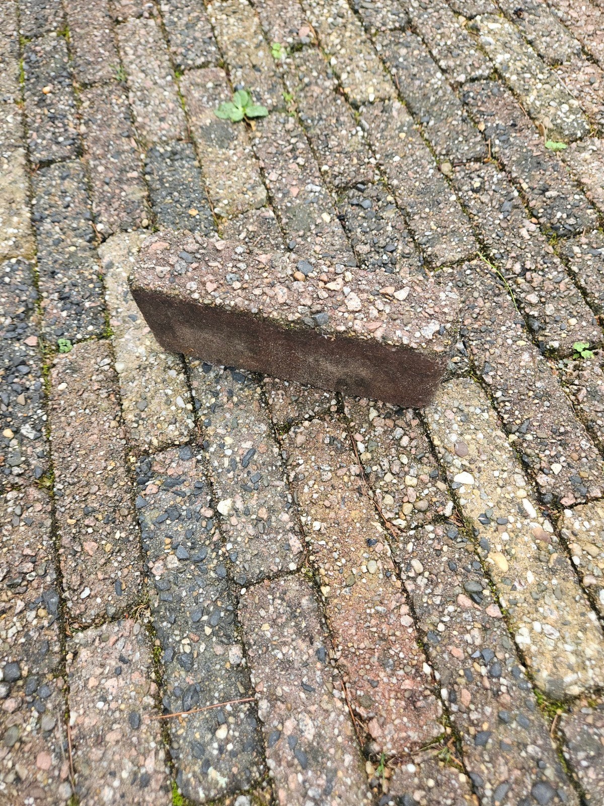 Bestrating waaltjes 40m² gratis af te halen, Tuin en Terras, Ophalen of Verzenden