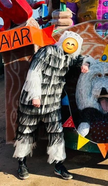 Honden carnavalspak, Ophalen of Verzenden, Jongen of Meisje