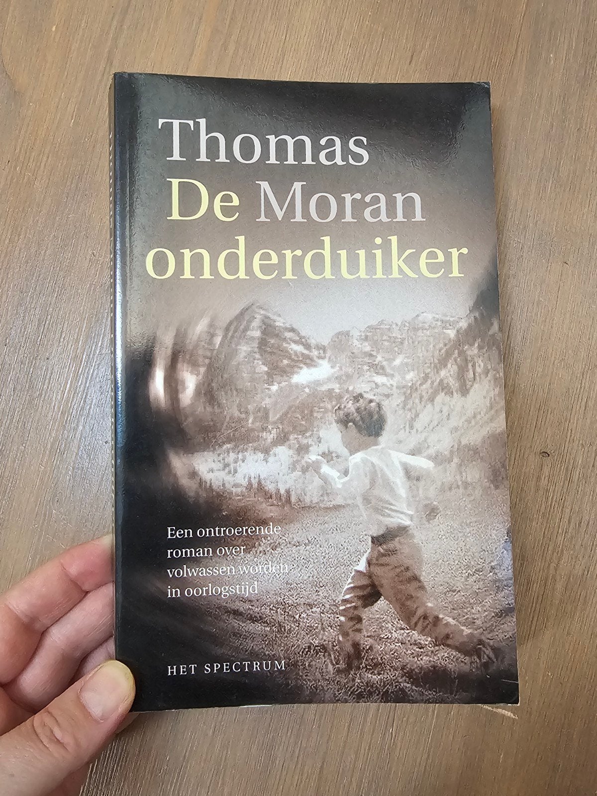 Thomas Moran - De onderduiker, Boeken, Ophalen of Verzenden, Gelezen, Thomas Moran