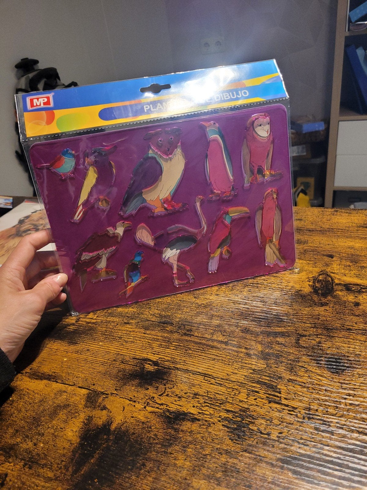 Tekensjabloon met diverse vogels - Zo goed als nieuw, Ophalen of Verzenden, Zo goed als nieuw, Papier, Schets- of Tekenboek