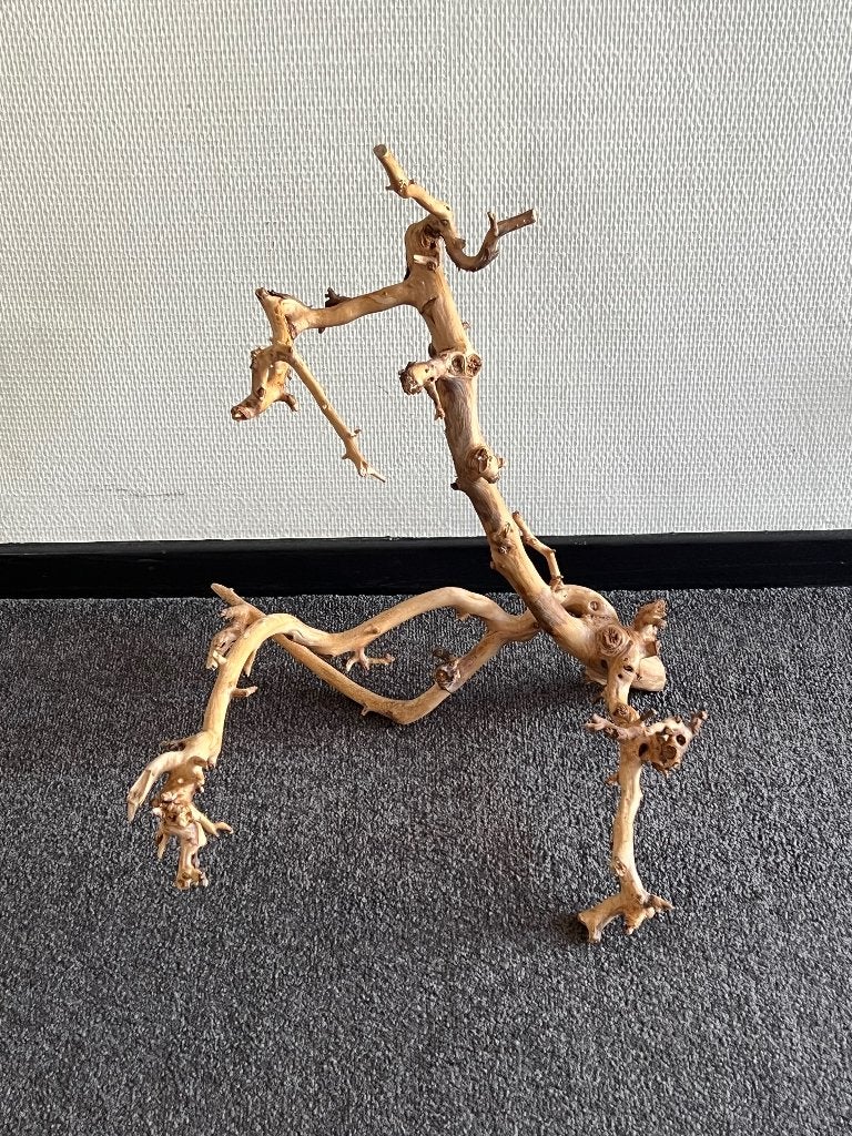 Decoratieve tak , wijnhout, Ophalen of Verzenden, Zo goed als nieuw, Beige, Hout