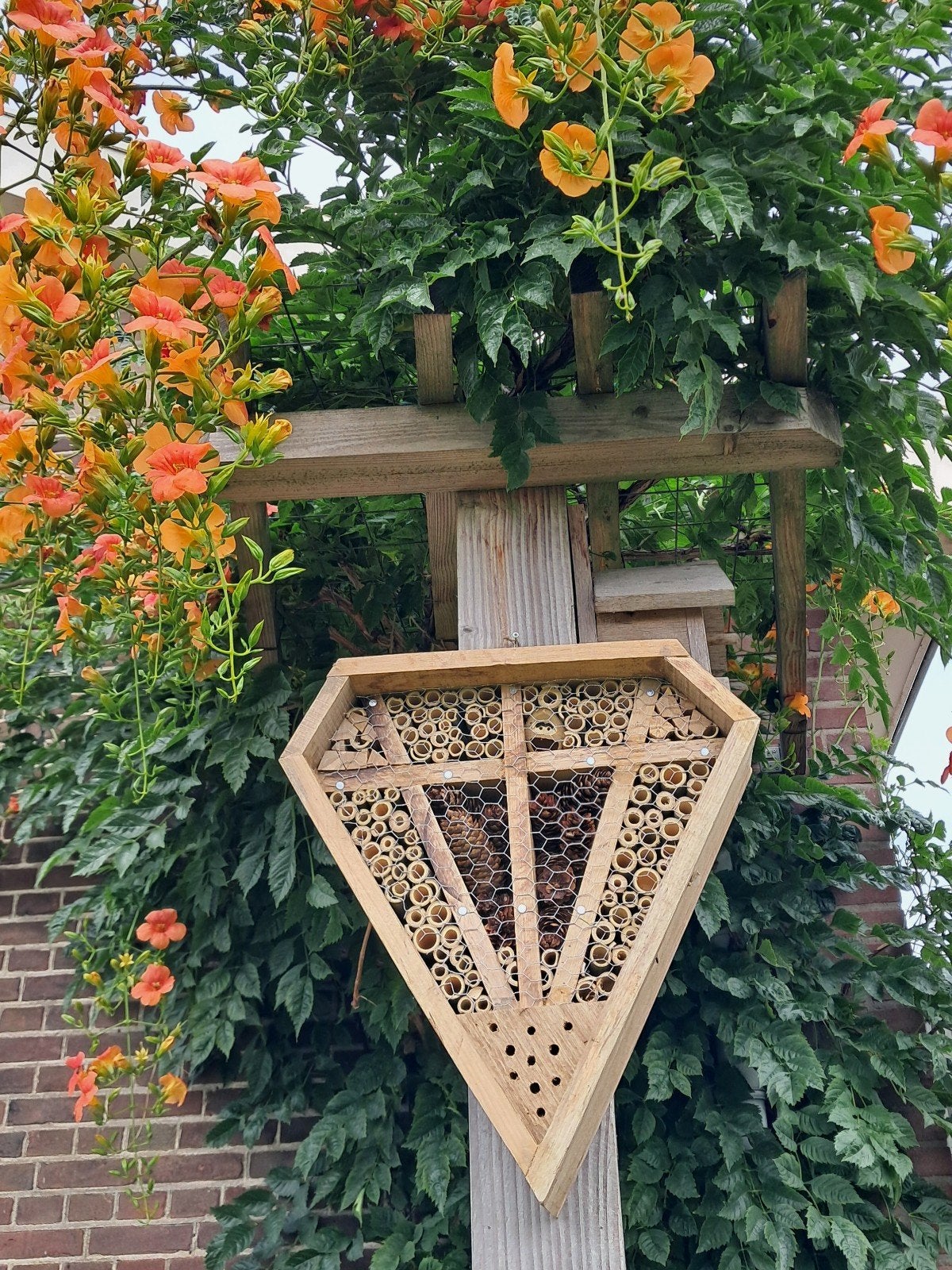 insectenhotel 50 cm bij 55cm, Bijen