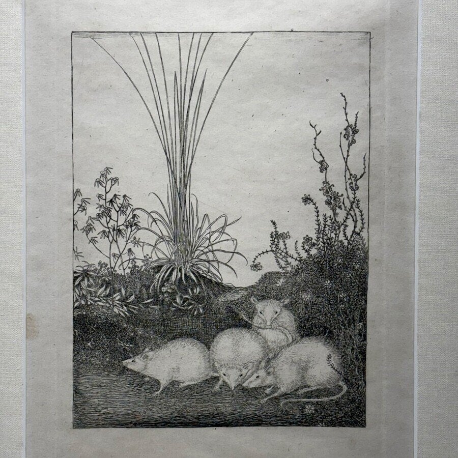 Jan Mankes (1889-1920) - ‘Vier muizen’, 1916, Antiek en Kunst, Ophalen of Verzenden, Flora en Fauna, Ets, Gesigneerd
