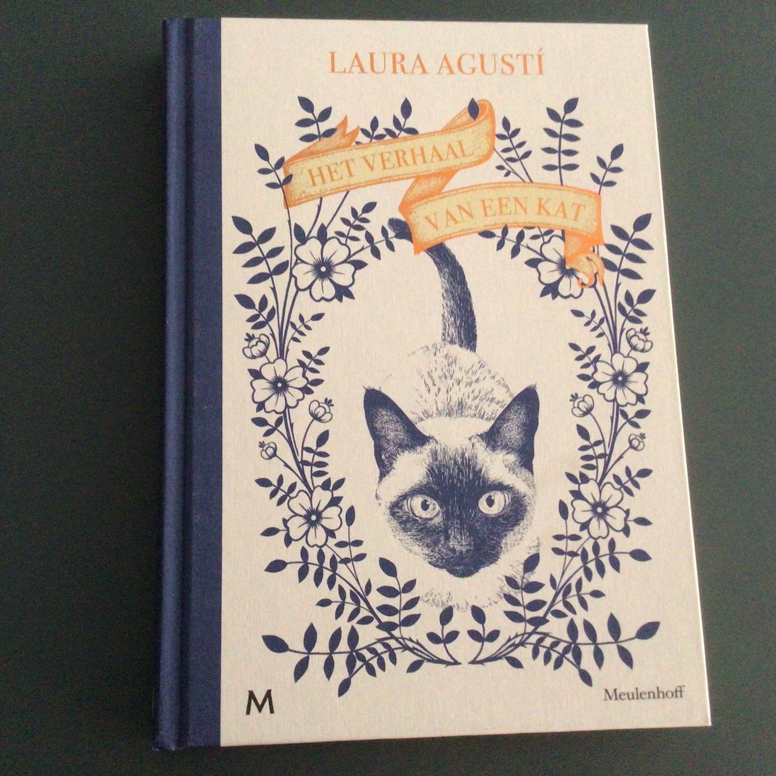 Laura Agustí - Het verhaal van een kat, Ophalen of Verzenden, Zo goed als nieuw, Laura Agustí, Katten