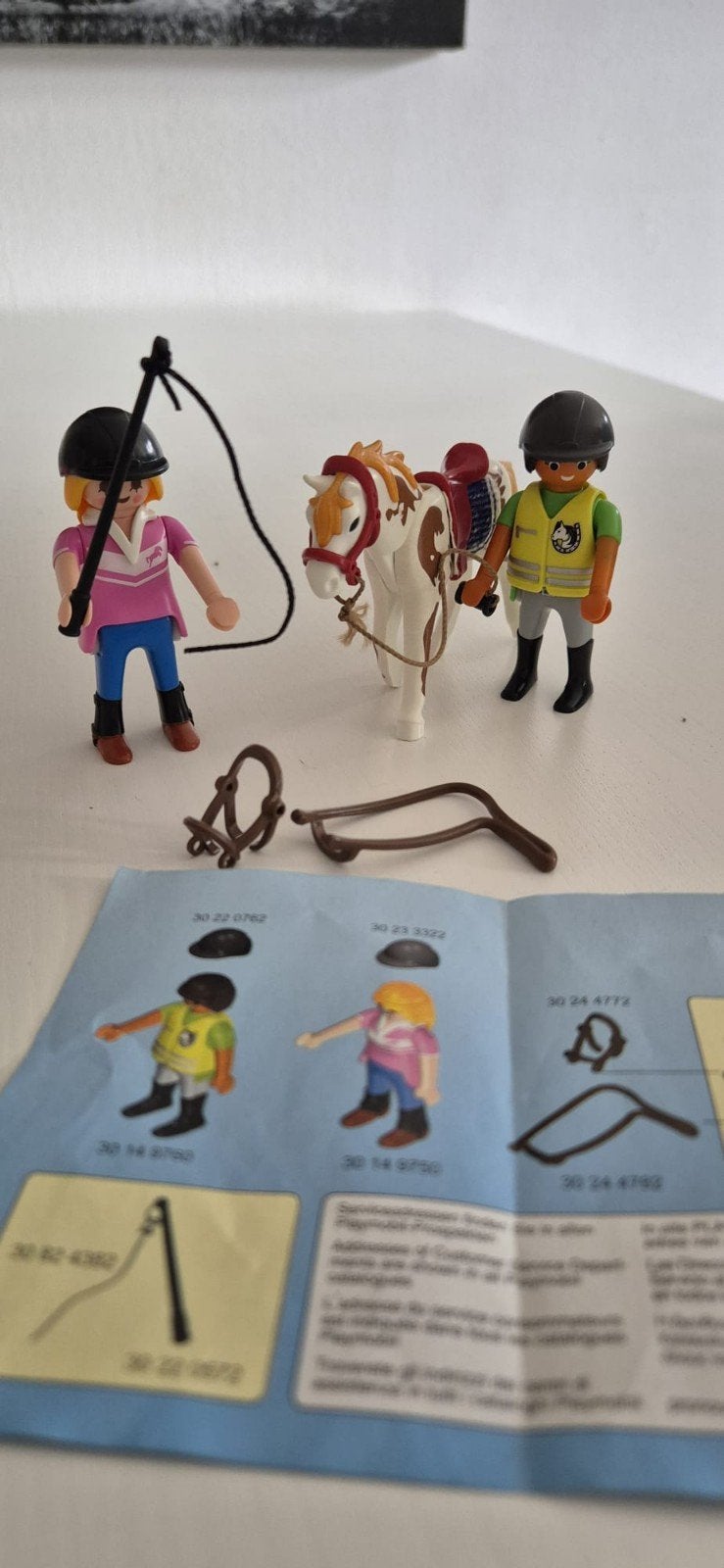 Playmobil 9258 Paardrijles met paard en figuren, Complete set, Ophalen of Verzenden, Zo goed als nieuw, Figuren