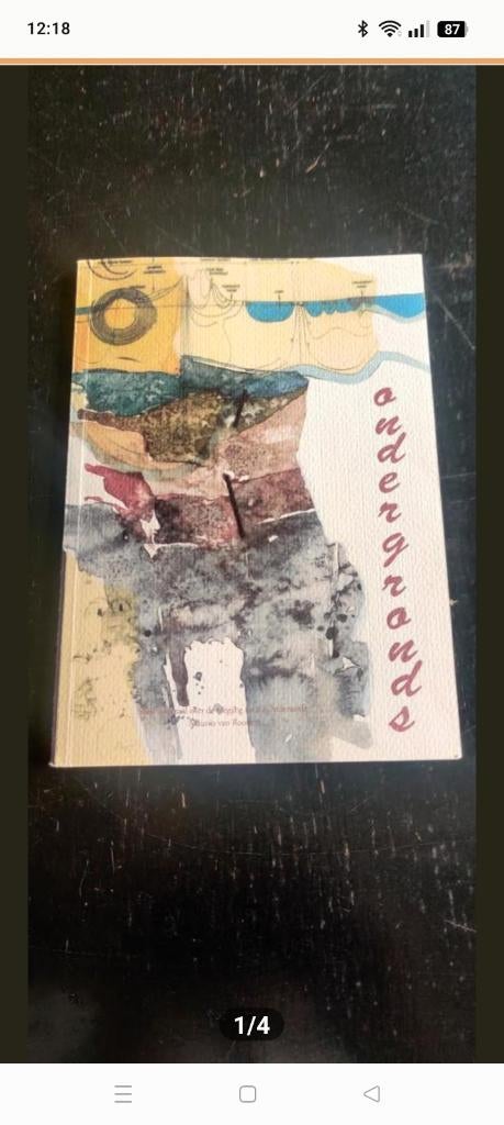 ondergronds, Boeken, Geschiedenis | Stad en Regio, Ophalen of Verzenden, Nieuw