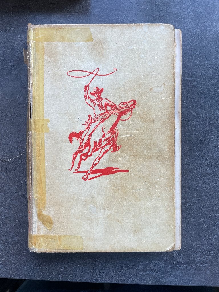 Arendsoog; Het spookt op de spoorbaan van J. Nowee, Boeken, Ophalen, Gelezen, J. Nowee