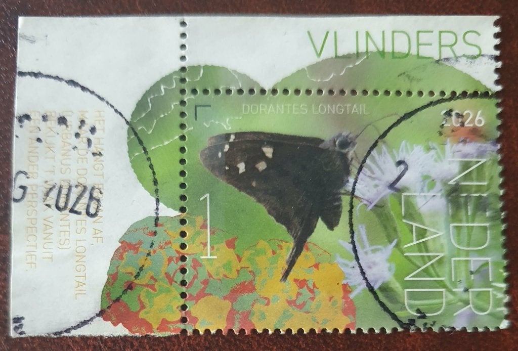251-26 Nederland 2026 / Dorantes Longtail - hoekstuk, Verzenden, Na 1940, Gestempeld