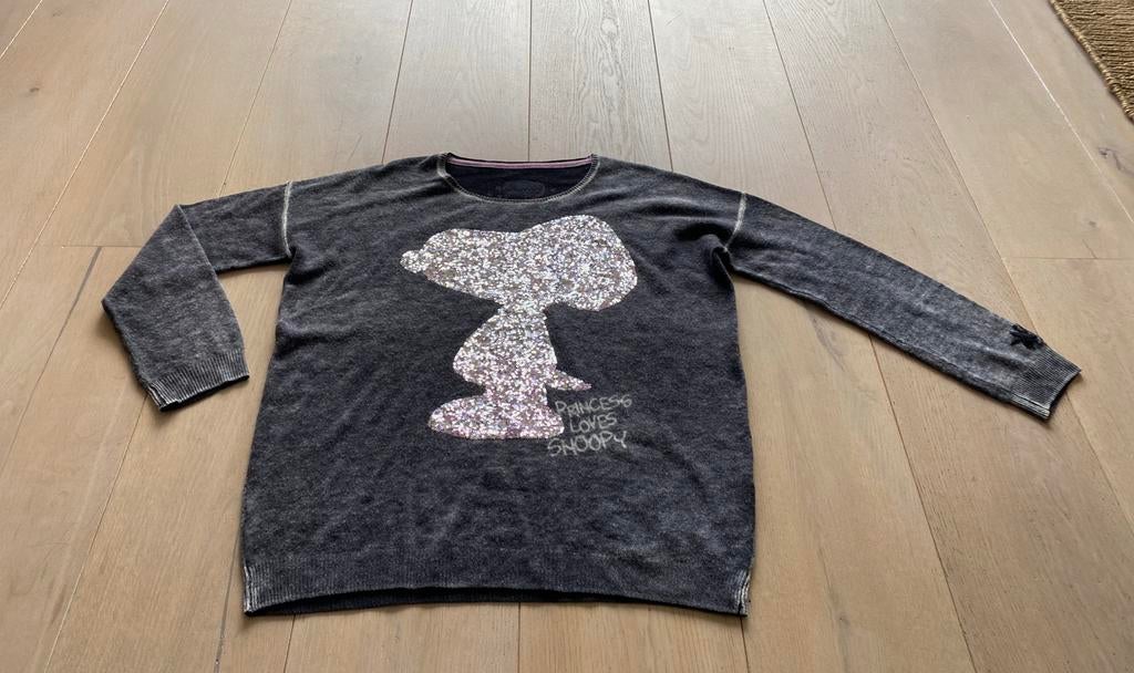 Snoopy trui wol cashmere nieuwstaat L, Ophalen of Verzenden, Zo goed als nieuw, Maat 42/44 (L), Grijs