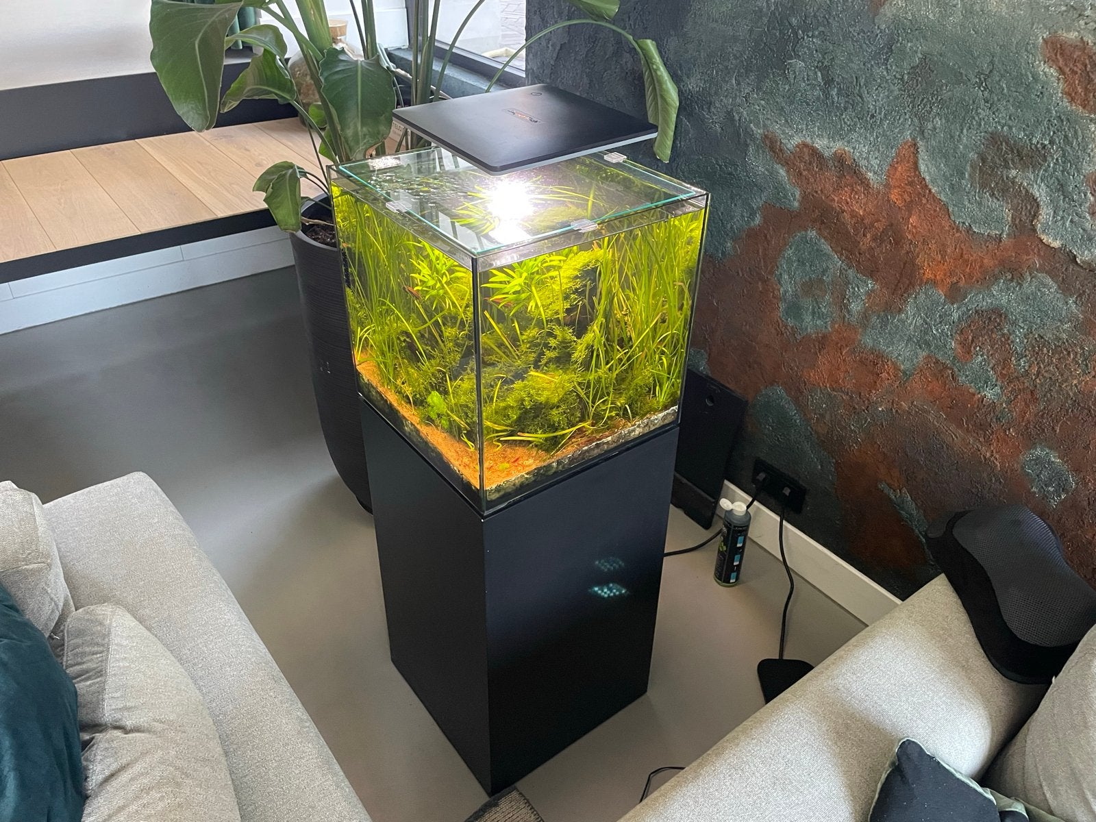 Qubiq 60 pro compleet met op maat gemaakt meubel, Ophalen, Superfish, Inclusief vissen, Gevuld zoetwateraquarium