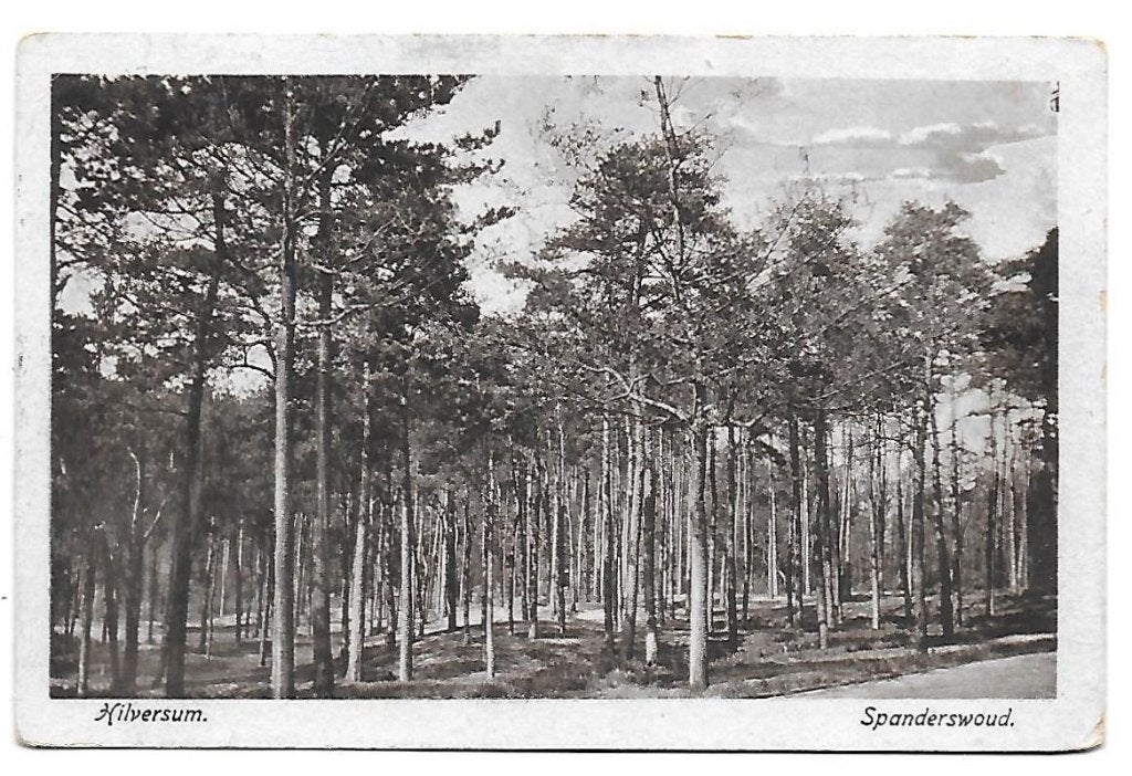 Hilversum Spanderswoud Ansichtkaart (B660 )uit 1902, Verzamelen, Ansichtkaarten | Nederland, Ophalen of Verzenden, Voor 1920, Gelopen