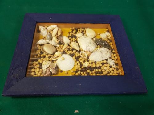 decoratie schelpen en zaden, Ophalen of Verzenden, 'T Olde Gre-j, Info@toldegrej.nl, Endepoelstraat 20f Didam
