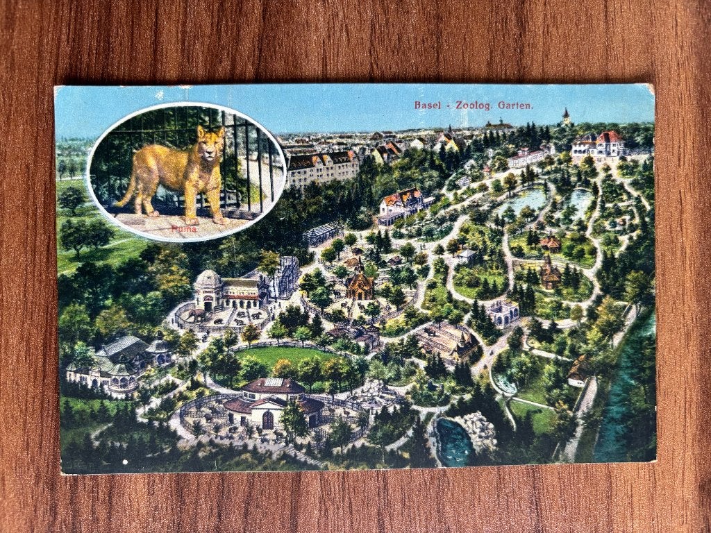 Oude ansichtkaart dierentuin Basel, Verzamelen, Verzenden, 1940 tot 1960, Ongelopen, Wild dier
